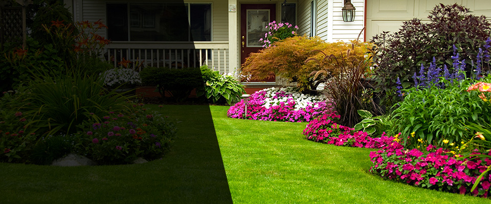 Mathis Landscapers
