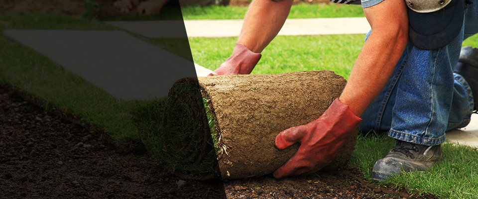 Mathis Landscapers